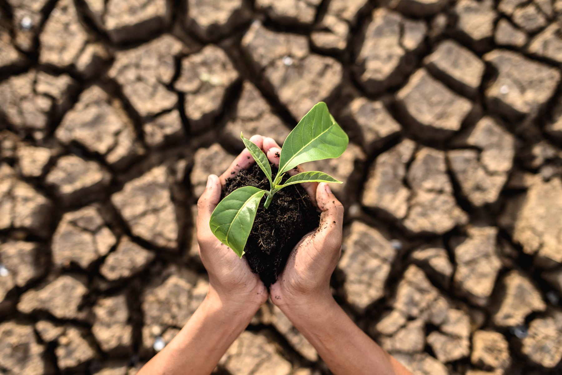 Factors that Influence Weather